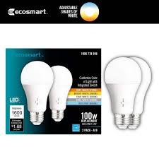 100 WATT LED RS BULB BY EACH
