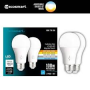 100 WATT LED RS BULB BY EACH
