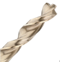 BULLET BIT 1/4