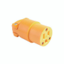 FEMALE ELECTRICAL PLUG END 4887