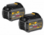 20/60V FLEXVLT 6.0AH BATTERY 2PK