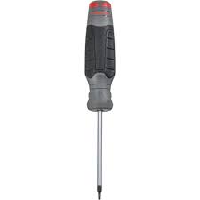 SCREWDRIVER TORX T10 X 3-1/2"