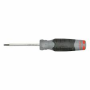 SCREWDRIVER TORX T15 X 3-1/2"