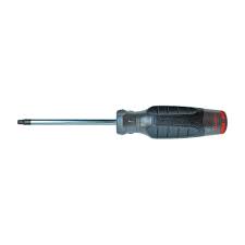 SCREWDRIVER TORX T20 X 3-1/2"