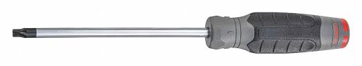SCREWDRIVER TORX T40 X 6"